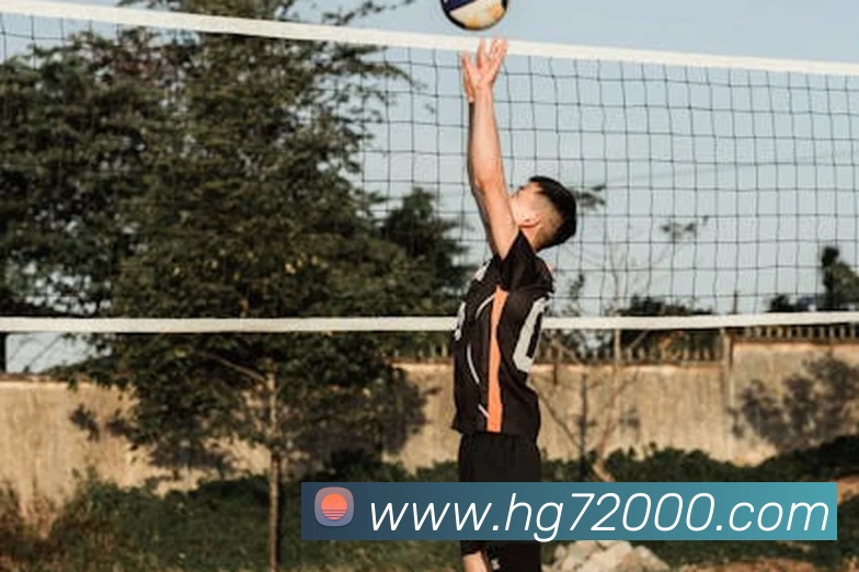 皇冠网官网平台生态图